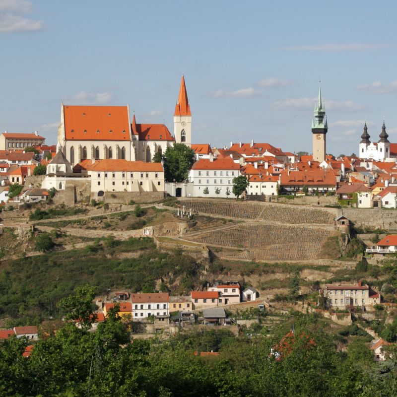 Adam Plachetka Returns to Znojmo Music Festival
